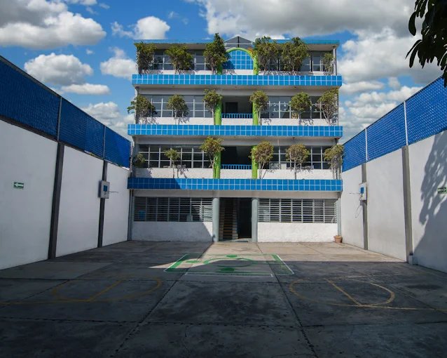 Colegio Educación Alive — foto 1