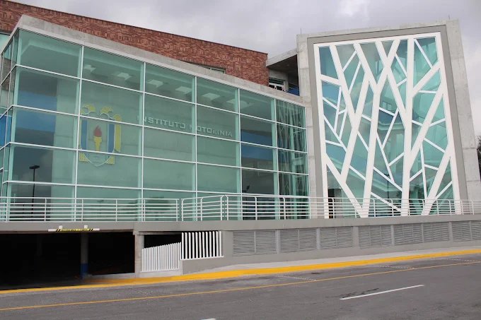 Motolinía International Institute — foto 3