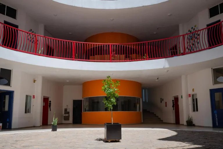 Colegio Tonalli — foto 3