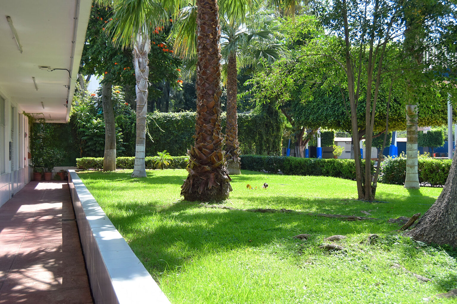 Colegio Guadalajara Sagrado Corazón — foto 3