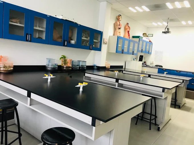 Escuela Tomás Alva Edison (tae) — foto 2