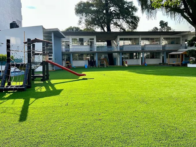 Woodland School — foto 3