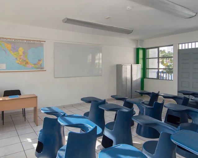 Colegio Educación Alive — foto 2