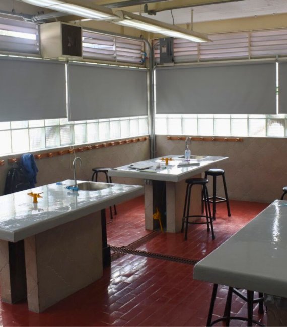 Instituto Simón Bolívar — foto 2